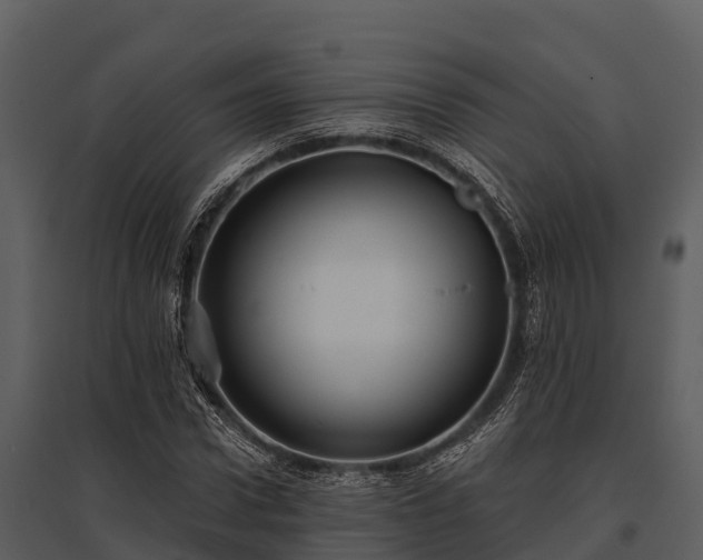 X0000095680922200801151122