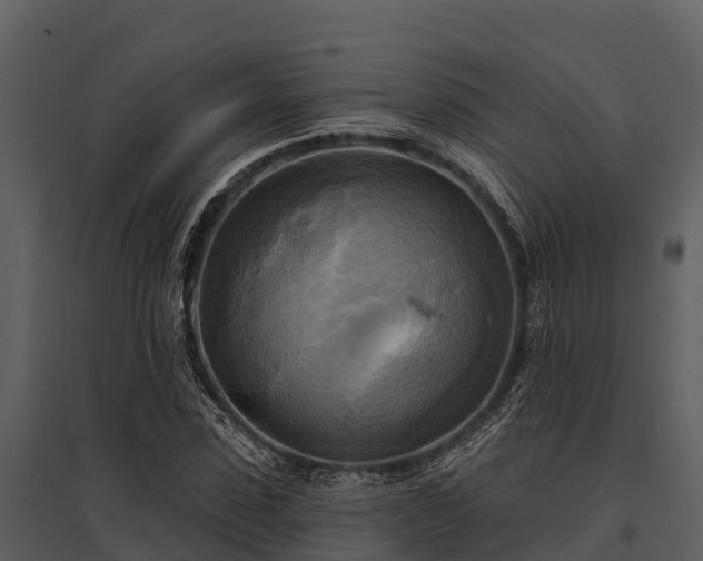 X0000095680923200801151122