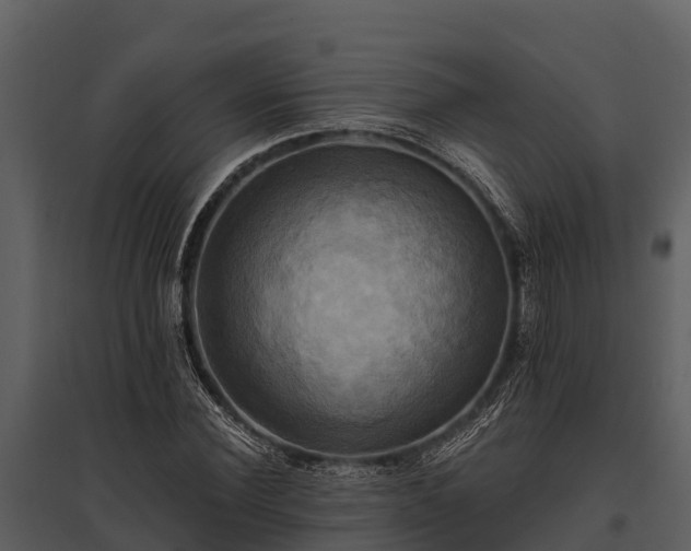 X0000095680924200801151122