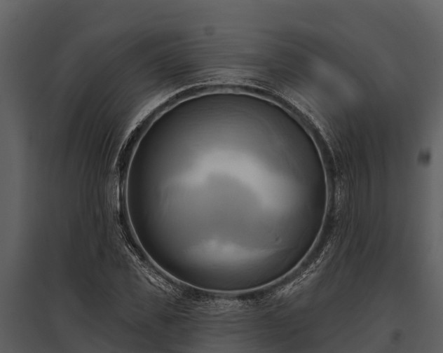 X0000095680925200801151122