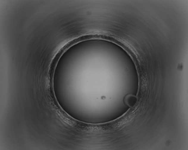 X0000095680927200801151122