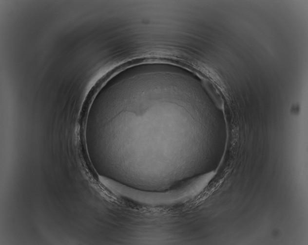 X0000095680928200801151122