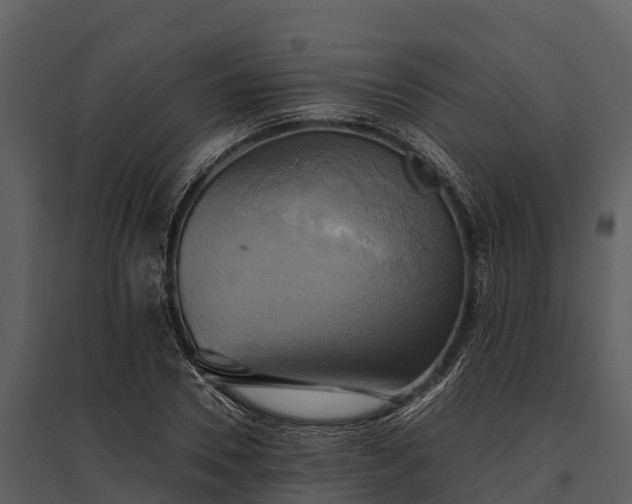 X0000095680930200801151122
