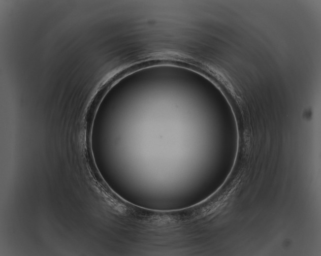 X0000095680931200801151122