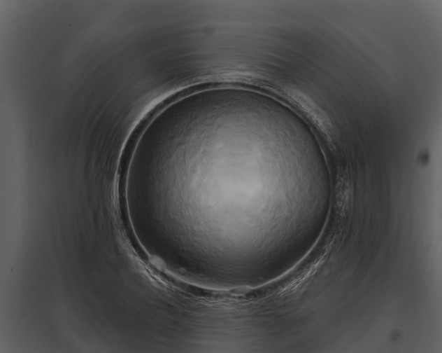 X0000095680932200801151122