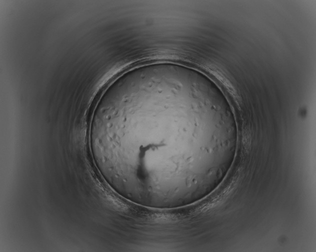 X0000095680933200801151122