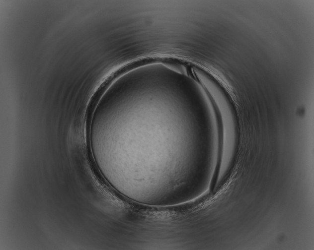 X0000095680934200801151122