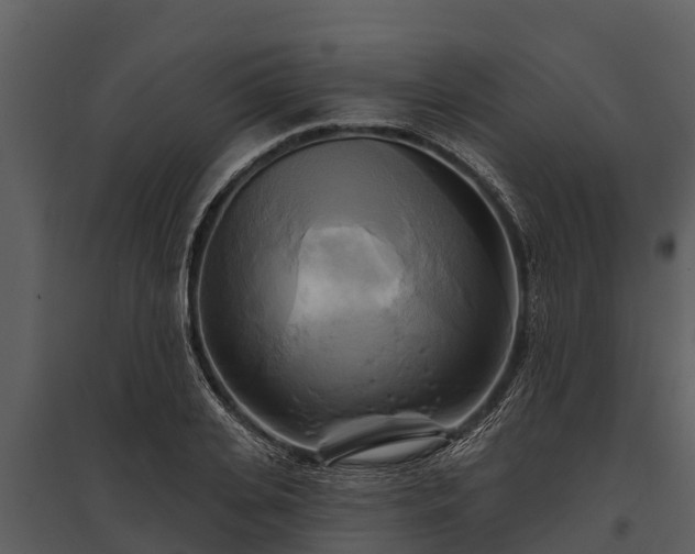 X0000095680935200801151122