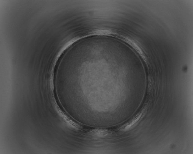 X0000095680939200801151122