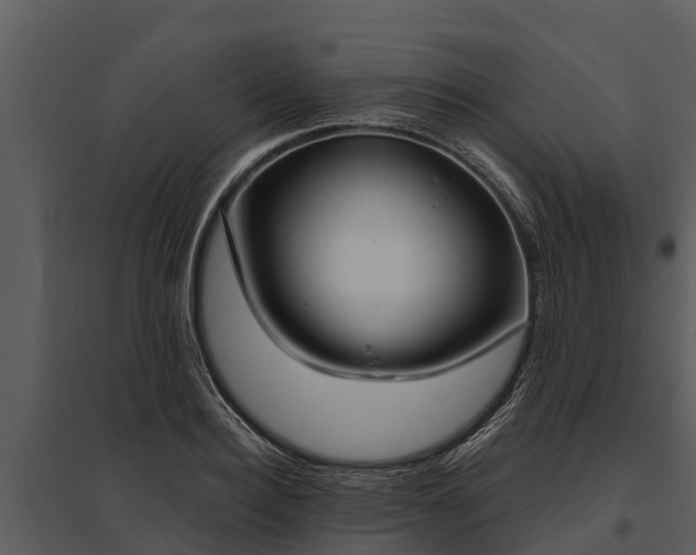 X0000095680940200801151122