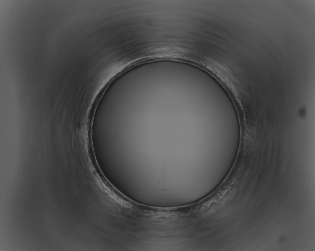X0000095680941200801151122