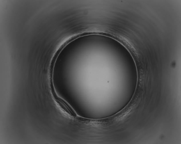 X0000095680942200801151122