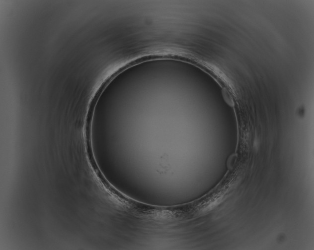 X0000095680943200801151122