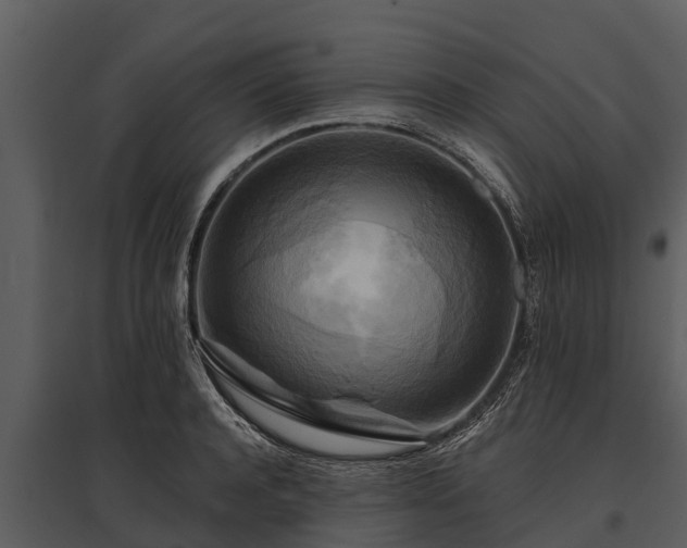 X0000095680944200801151122