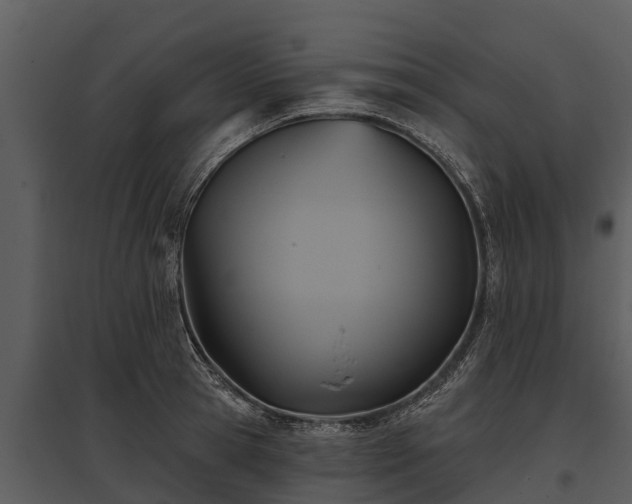 X0000095680945200801151122