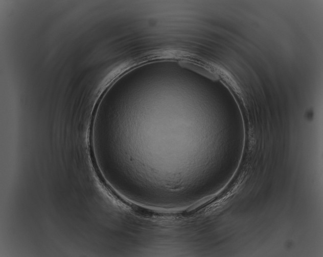 X0000095680946200801151122