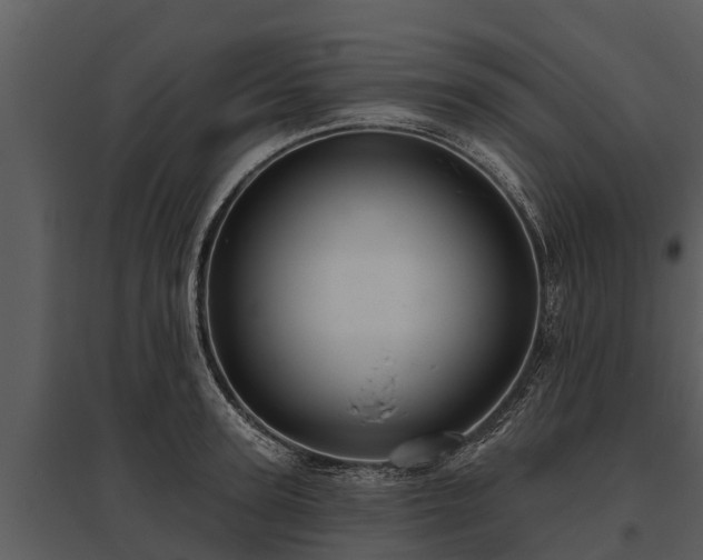 X0000095680947200801151123