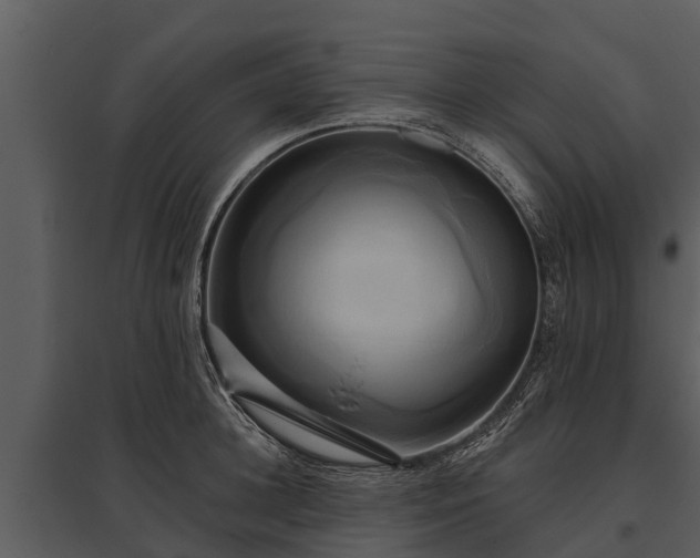 X0000095680948200801151123