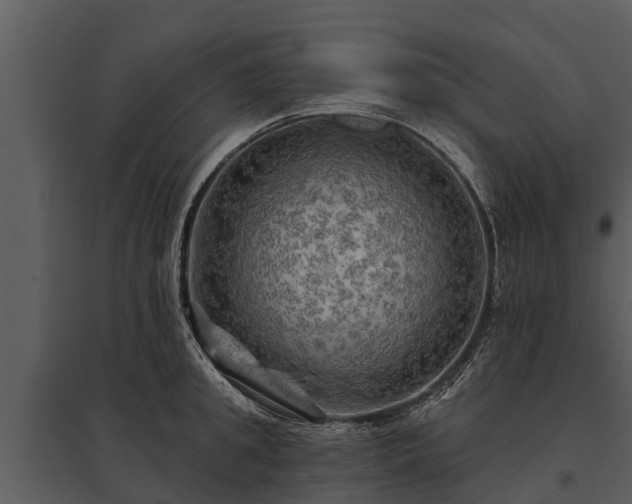 X0000095680949200801151123