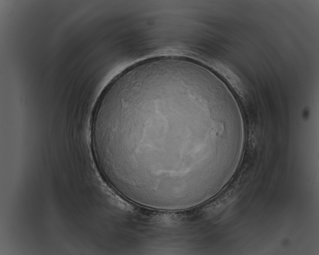 X0000095680950200801151123