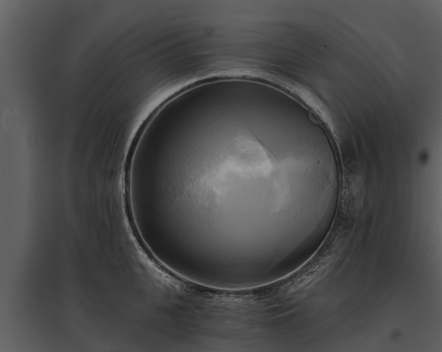 X0000095680951200801151123