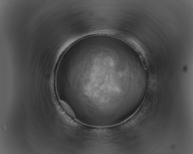 X0000095680952200801151123