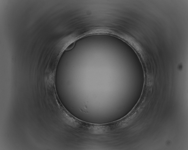 X0000095680953200801151123