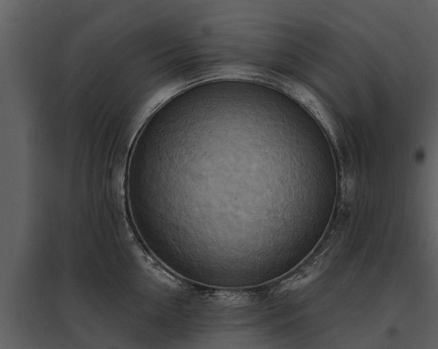 X0000095680954200801151123