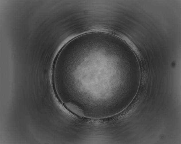 X0000095680955200801151123