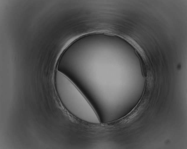 X0000095680956200801151123
