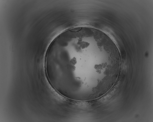 X0000095680957200801151123