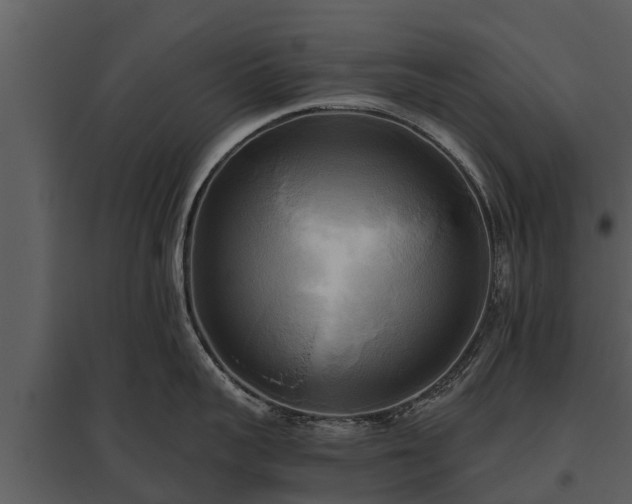 X0000095680959200801151123