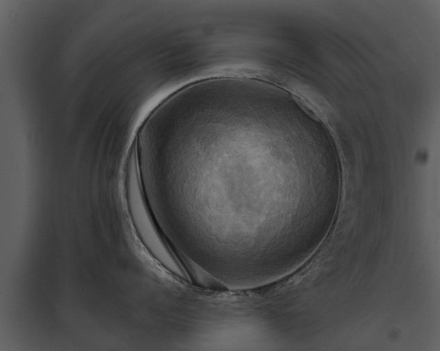 X0000095680960200801151123