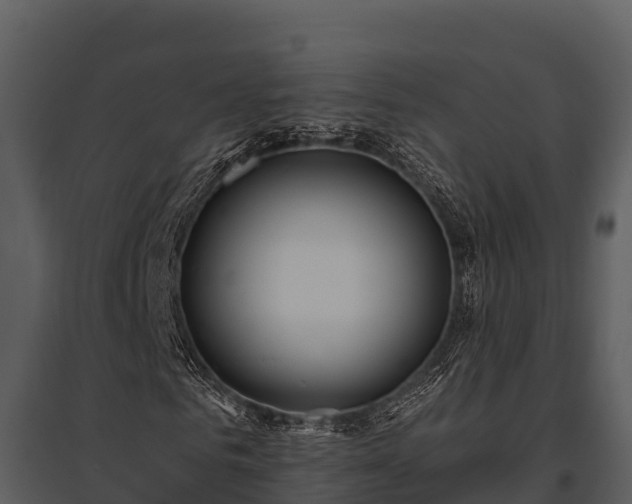 X0000095680961200801151122