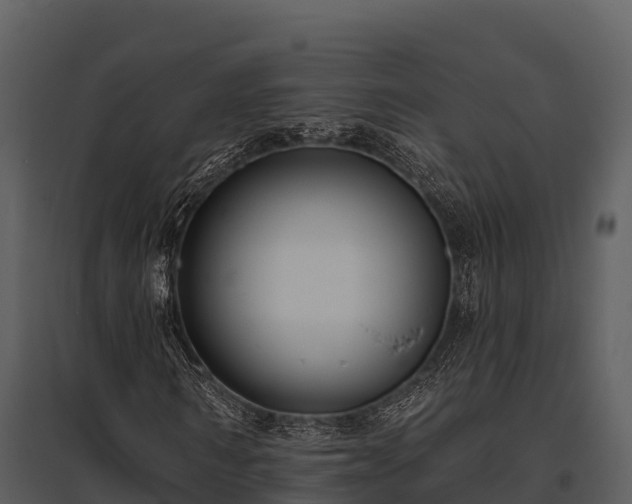 X0000095680962200801151122