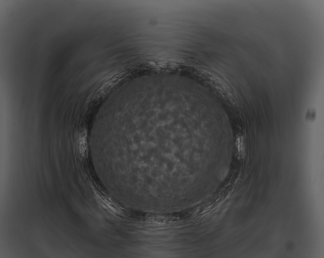 X0000095680963200801151122