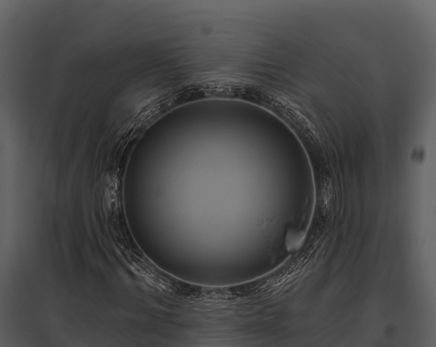 X0000095680964200801151122