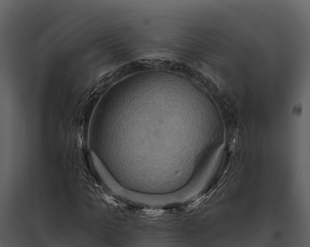 X0000095680965200801151122