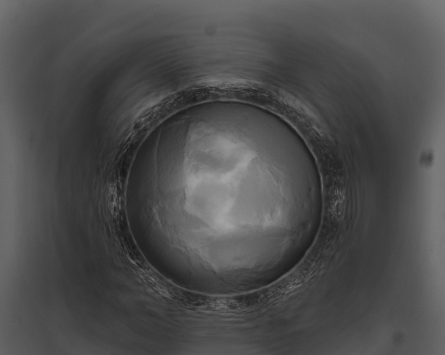 X0000095680966200801151122