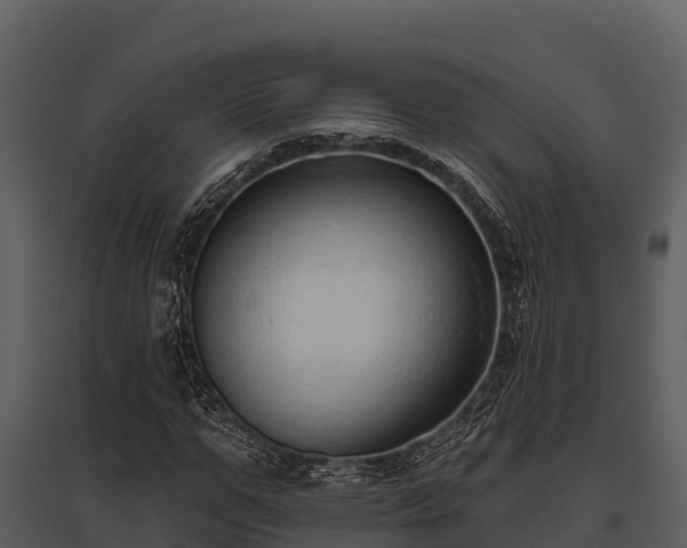 X0000095680967200801151122
