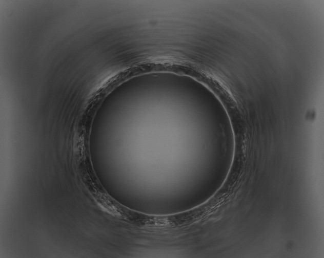 X0000095680968200801151122