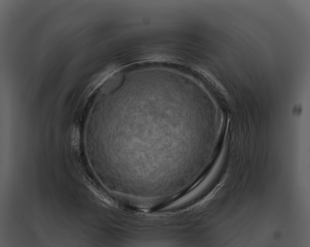 X0000095680969200801151122