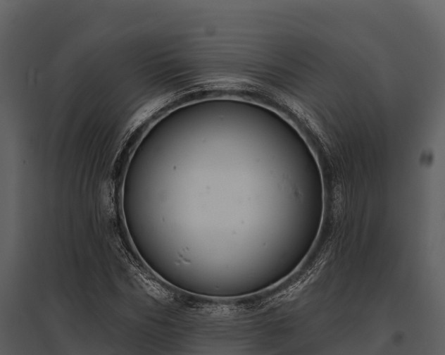 X0000095680970200801151122