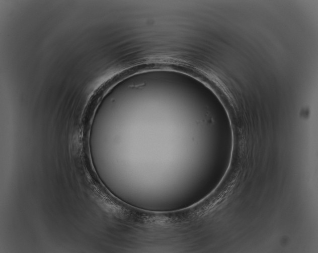 X0000095680971200801151122