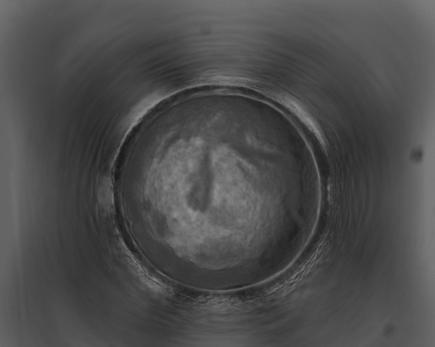 X0000095680972200801151122