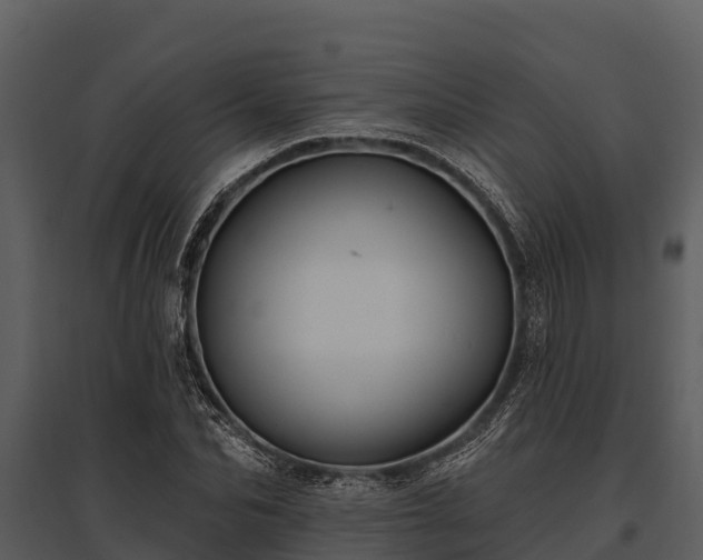 X0000095680974200801151122