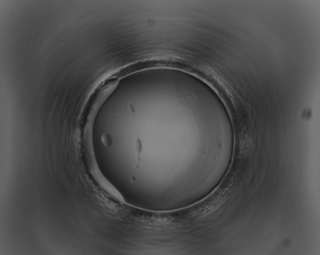 X0000095680975200801151122