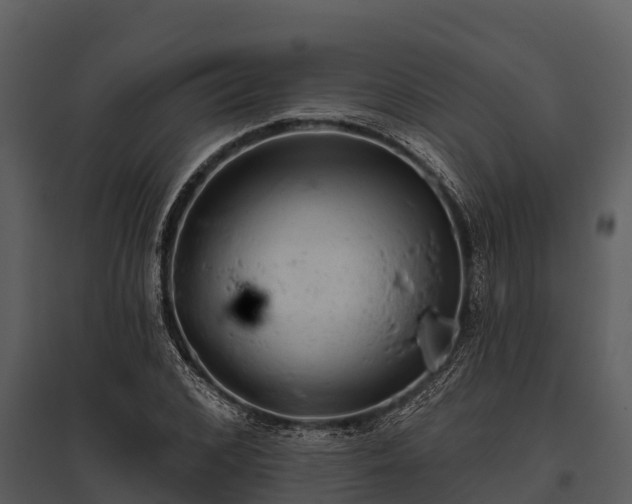 X0000095680976200801151122