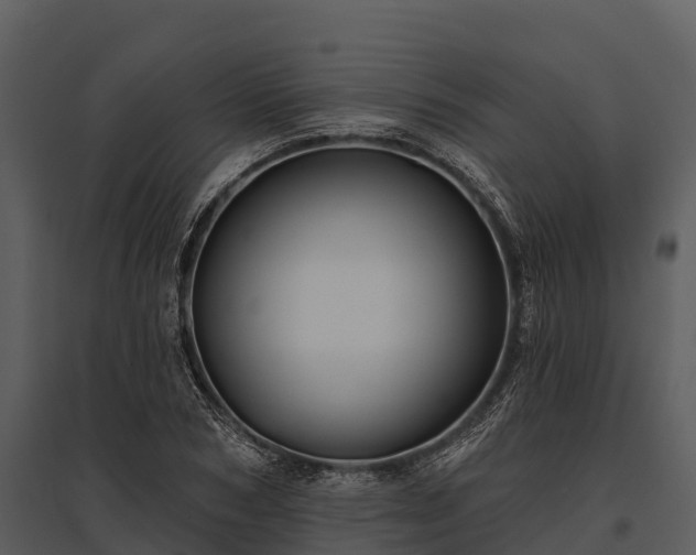 X0000095680978200801151122