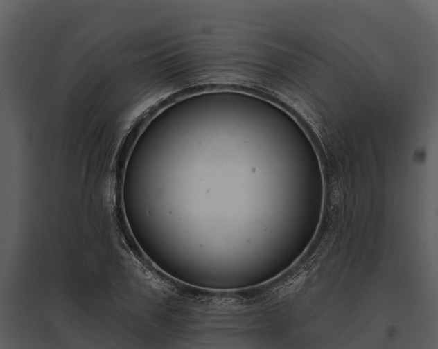 X0000095680979200801151122